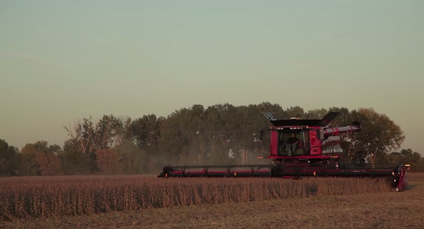 Case IH 3162 TerraFlex™ Draper Header: Beyond the Benchmark