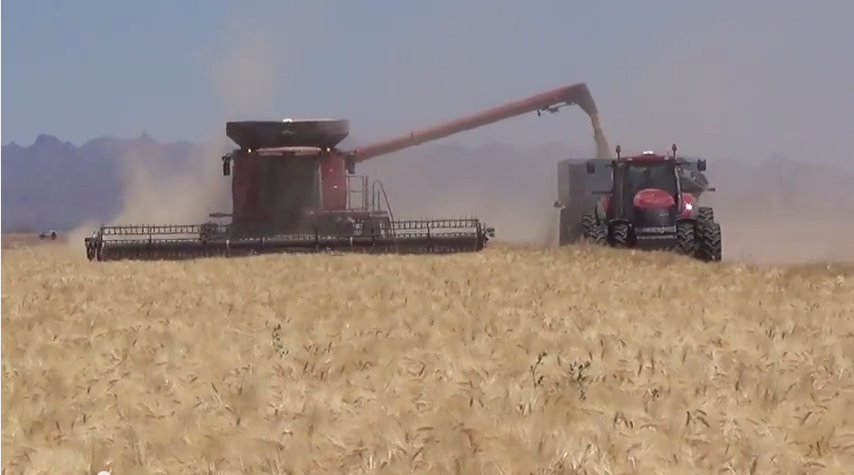 Barley – Suggested crop setting for Flagship 50, 40, 30, 20, and 10 series Axial Flow.