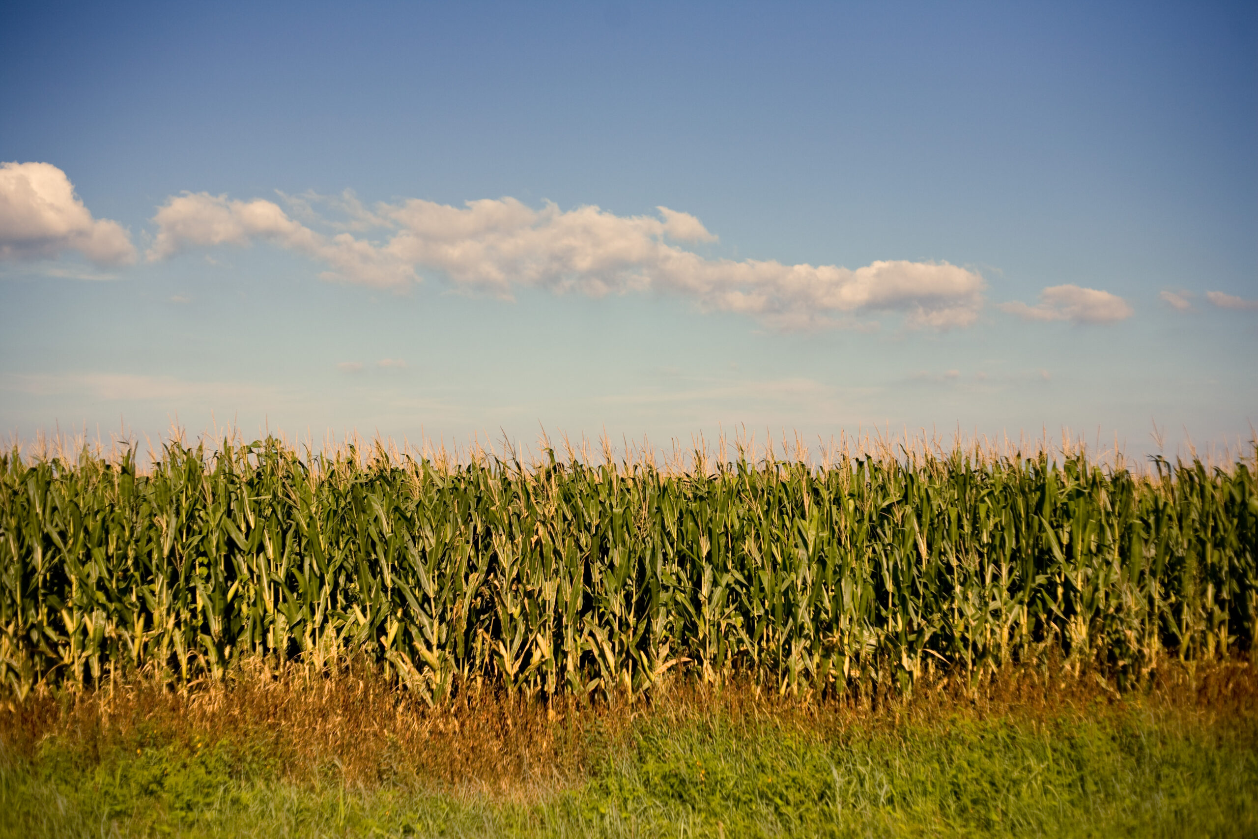 Wet Corn Settings for Flagship 50, 40, 30, 20, 10 Series Axial Flows Combines